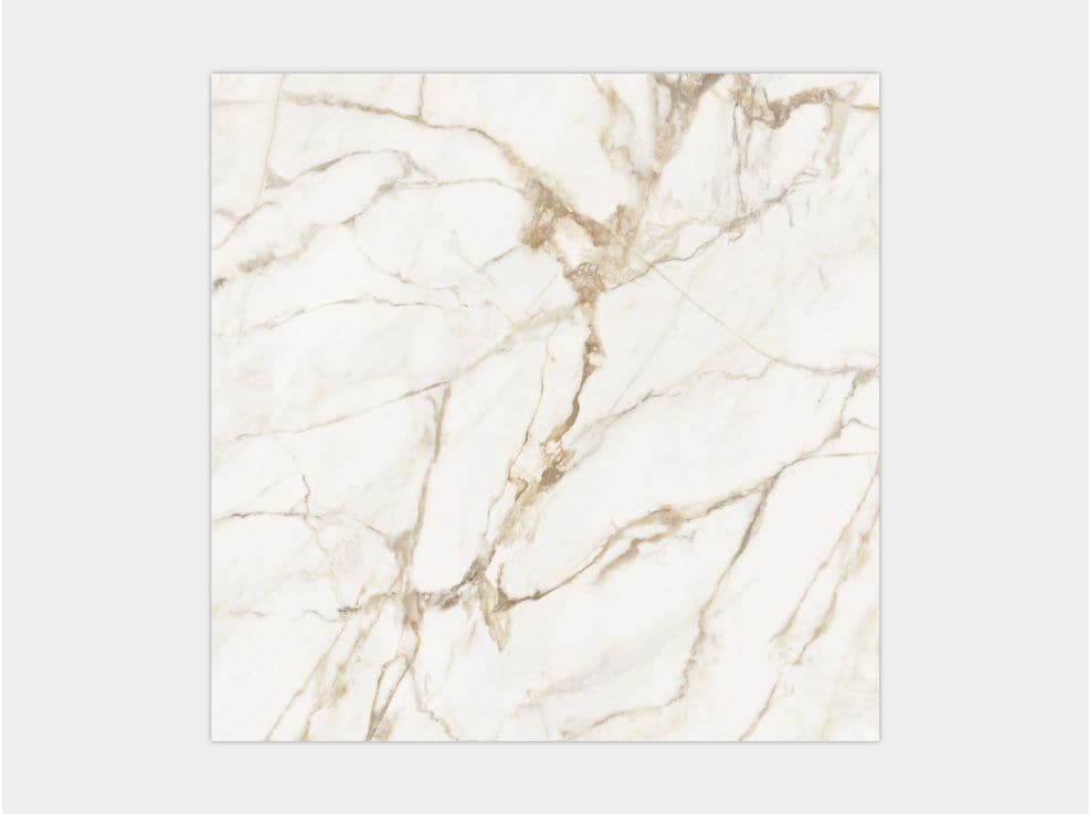 CALACATTA GOLD POL.PV6 120X120(A)
