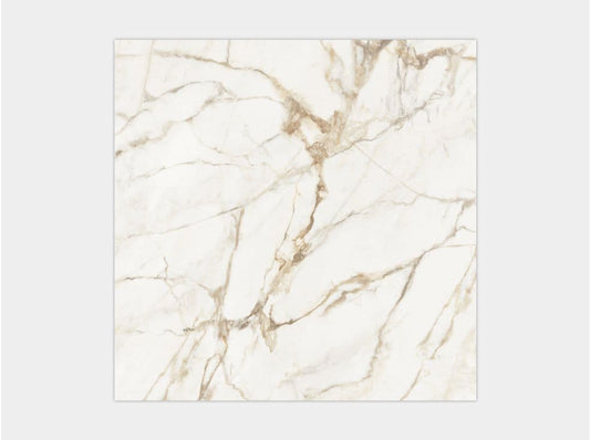 CALACATTA GOLD POL.PV6 120X120(A)