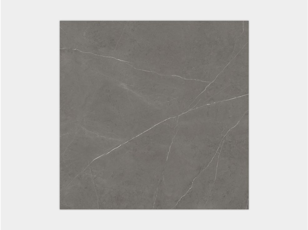 LIEM GREY NAT.PV6 120X120(A)