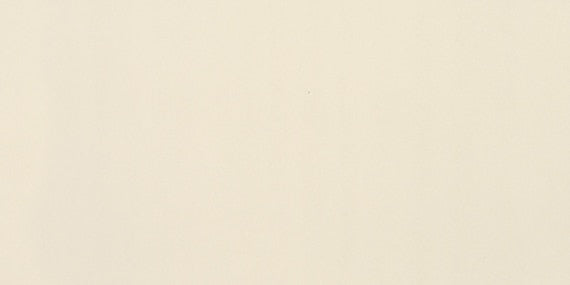 Clay Canvas Paint CC02 American Olean Floor Mart Canada