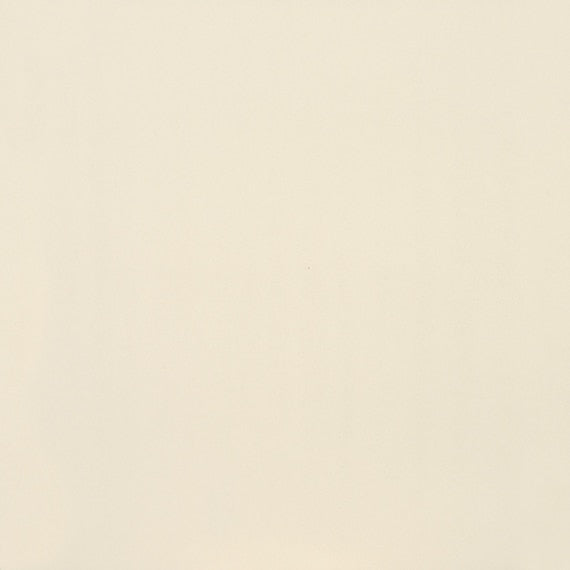 Clay Canvas Paint CC02 American Olean Floor Mart Canada