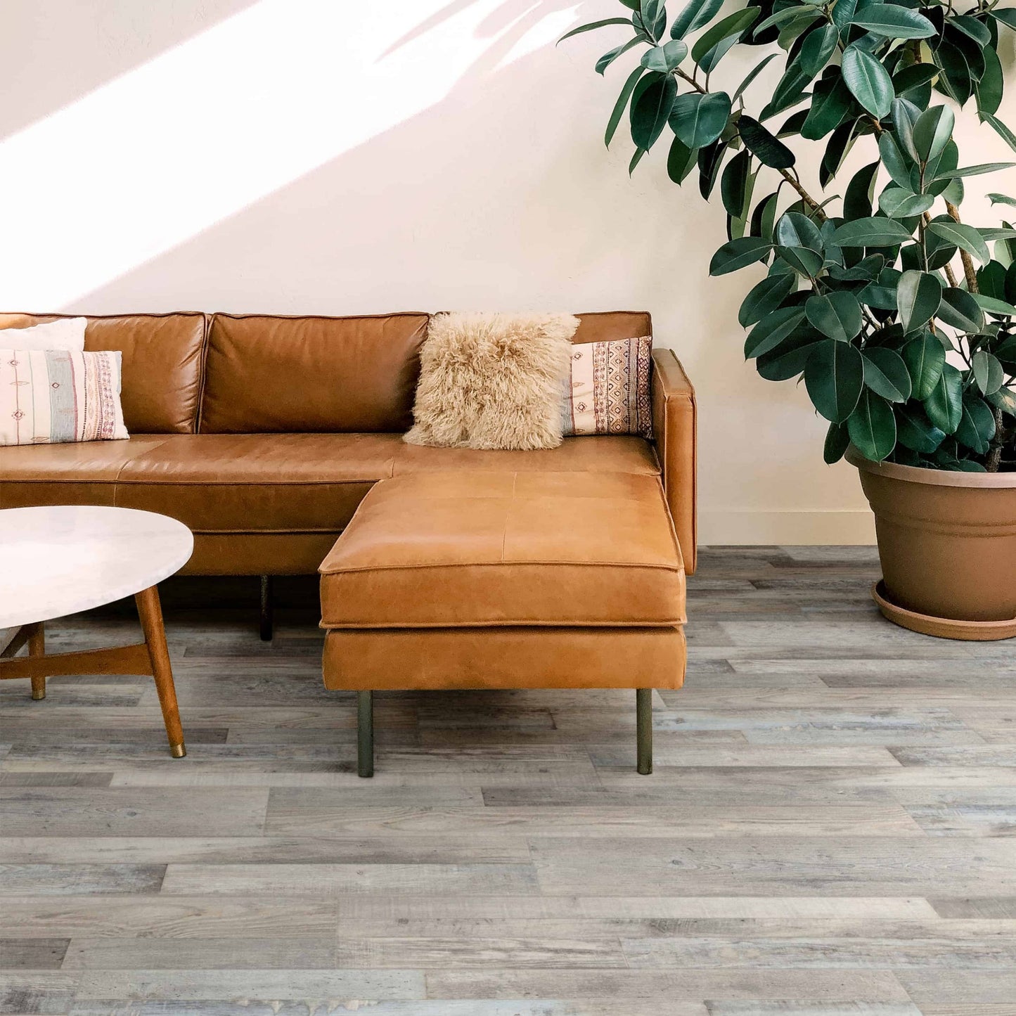 Echo 2.0 Coast Ceratec Surfaces Floor Mart Canada