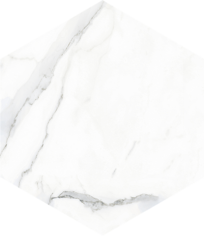 Apini Series Olympia Tile Floor Mart Canada