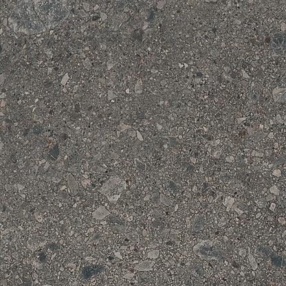 Assemble Emissary AS12 Daltile Floor Mart Canada