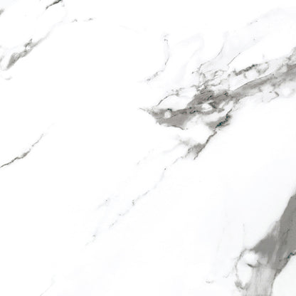 Carrara X Series Olympia Tile Floor Mart Canada
