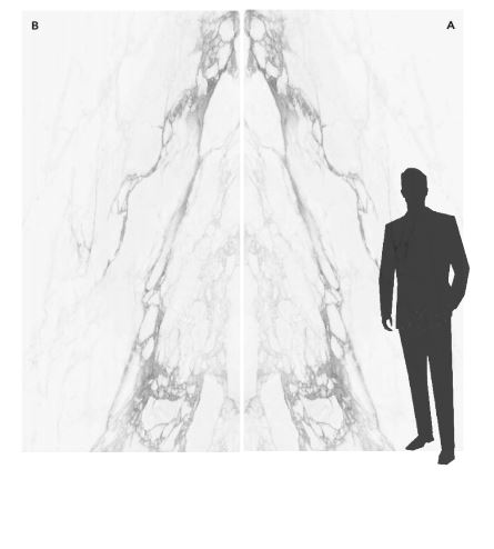 EK Bernini White Bookmatch Sarana Tile Floor Mart Canada